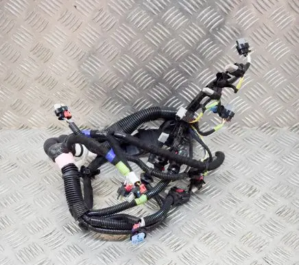 Tesla Model 3 Other wiring loom 206876700C