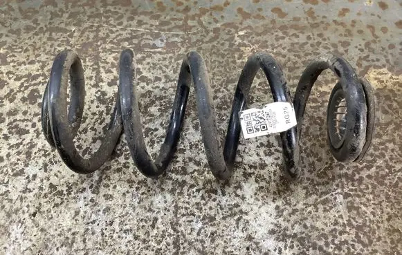 Rear coil spring