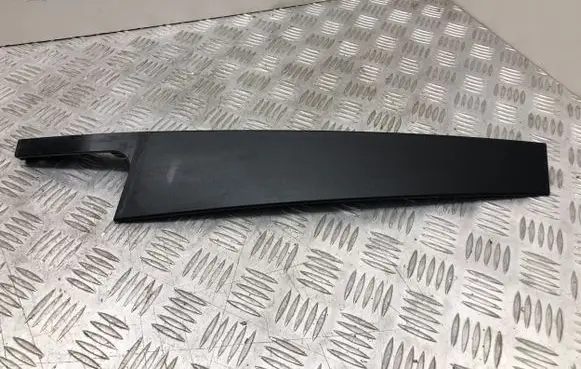 Other front door trim element