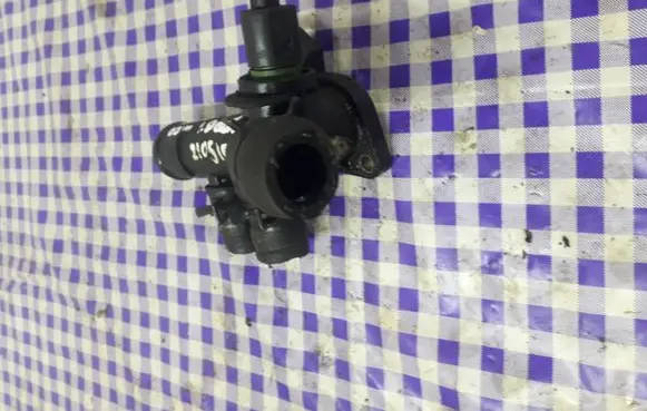 Volkswagen New Beetle Thermostat/thermostat housing