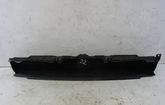 BMW X3 G01 Radiator trim 5A1ACE203