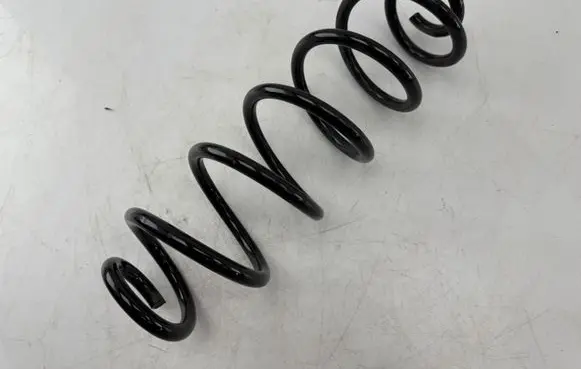 Rear coil spring