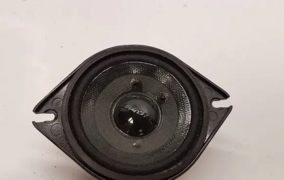 Front door speaker