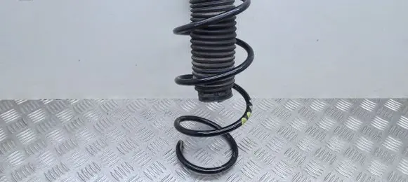 Front coil spring