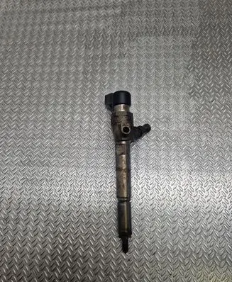 Nissan Qashqai Fuel injector H8200294788