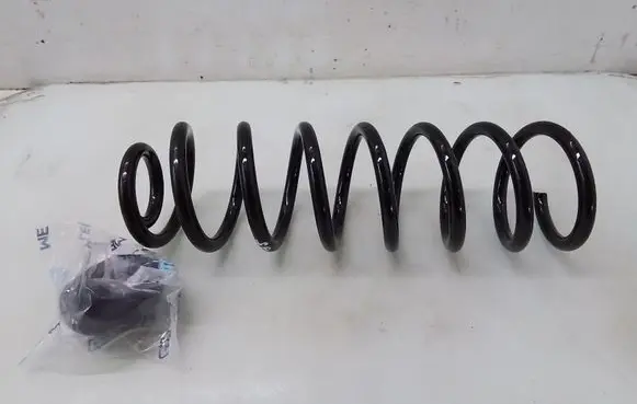 Rear coil spring
