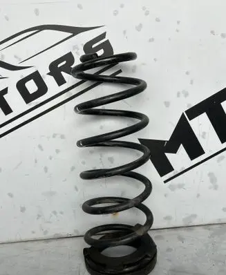 Rear coil spring