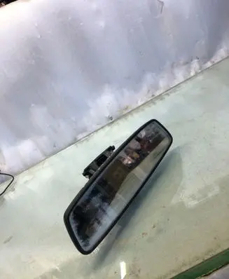 BMW X2 U10 Rear view mirror (interior) E1041456