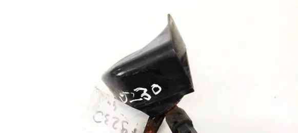 Horn signal