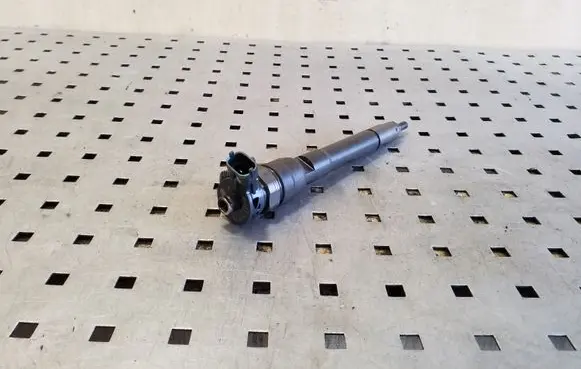 Nissan Qashqai Fuel injector H8201055367 0445110414