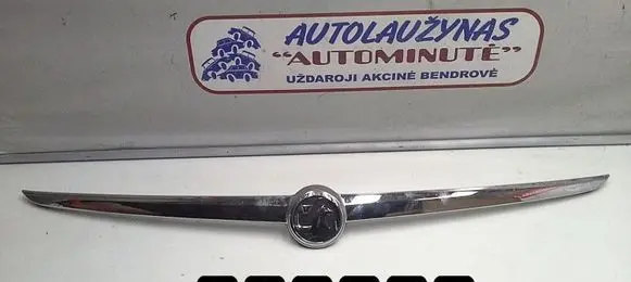 Tailgate/trunk/boot exterior handle