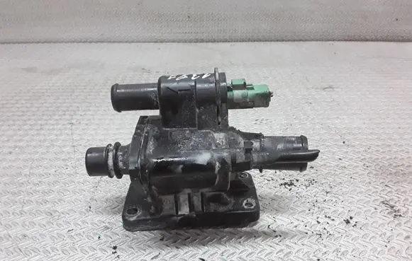 Thermostat/thermostat housing