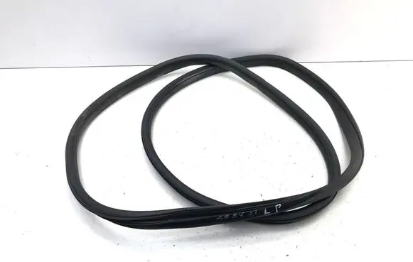 MG ZS Front door rubber seal 10229790