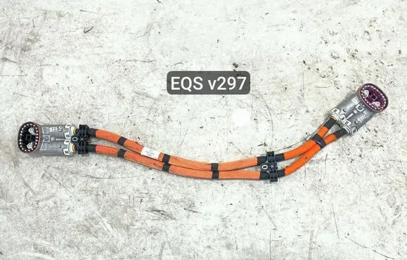 Mercedes-Benz EQS V297 Other wiring loom A2975404516