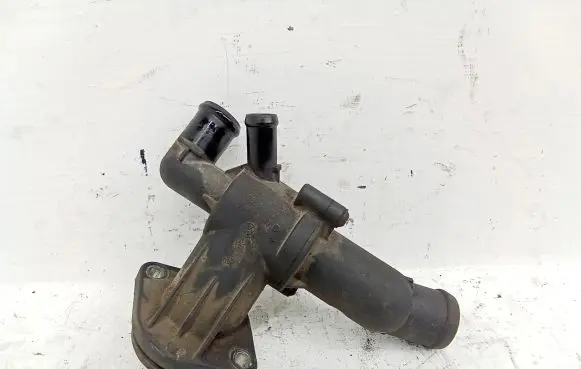 Thermostat/thermostat housing