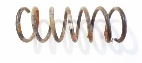 Rear coil spring