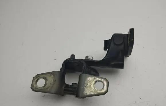 Mitsubishi Outlander Rear door hinge set 