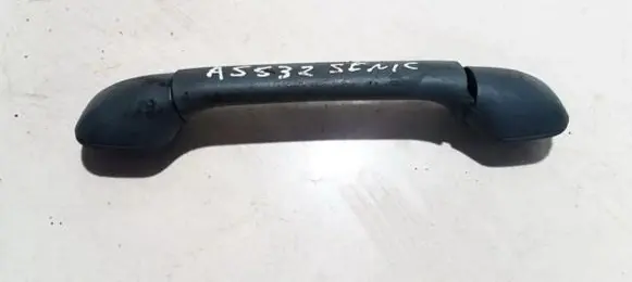Renault Scenic I Rear interior roof grab handle