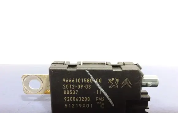 Peugeot 508 RXH Sound amplifier 9666101580