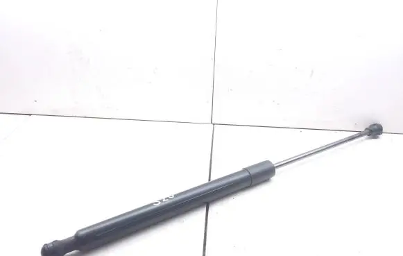 Renault Zoe Tailgate/trunk strut/damper 904502915R