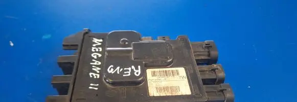 Renault Megane III Other control units/modules 243800011R 121011160031