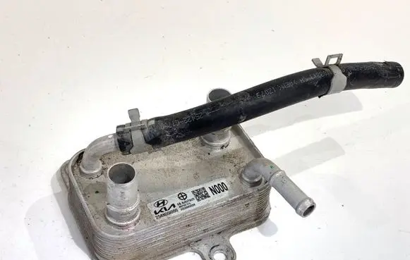 KIA EV6 Coolant radiator 254N0GI000