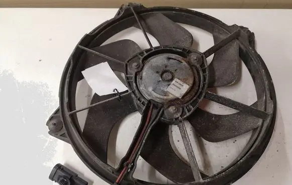 Citroen C4 Grand Picasso Electric radiator cooling fan 3000009000