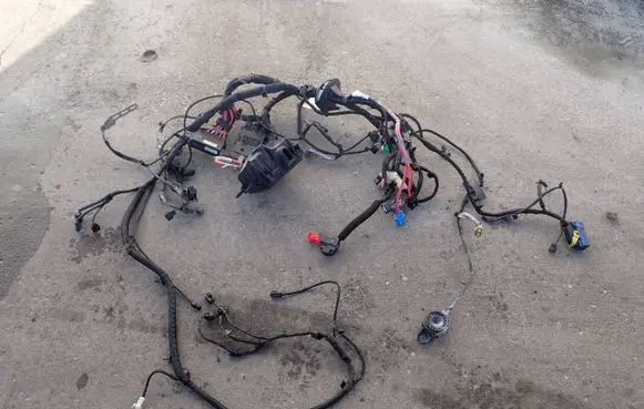 Renault Scenic III - Grand scenic III Other wiring loom 403882623R