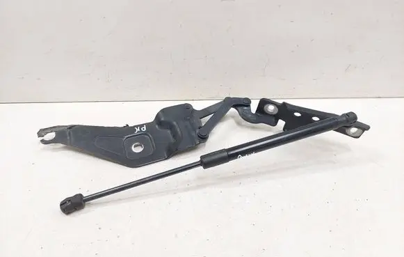 Engine bonnet/hood hinges