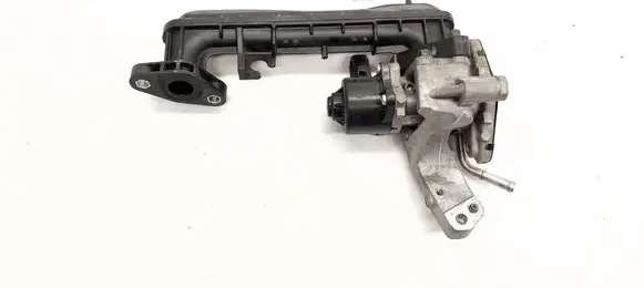 Toyota RAV 4 (XA50) EGR valve 2562025040