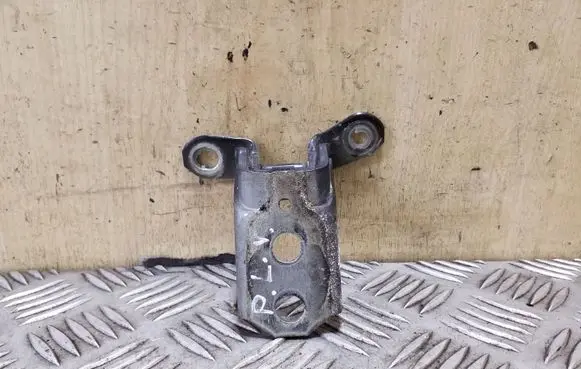 Nissan Juke I F15 Front door upper hinge