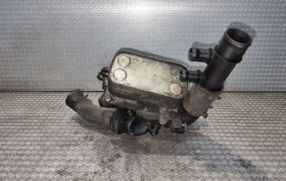Opel Vivaro Oil filter mounting bracket 8200797762