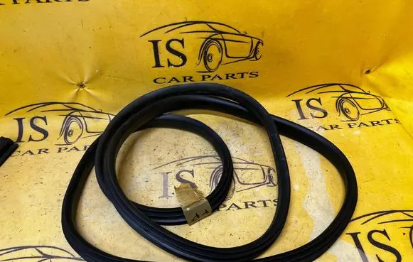 Dacia Sandero III Front door rubber seal 