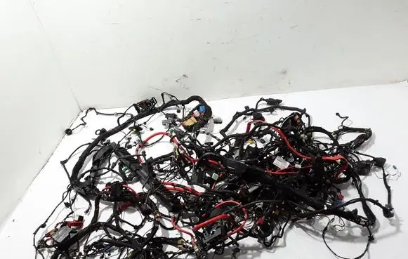 Other wiring loom