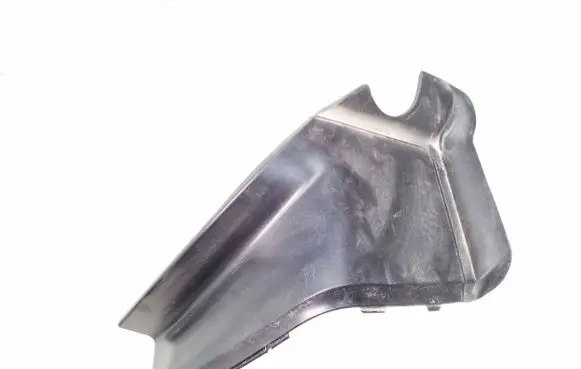 Rear/tail light trim molding