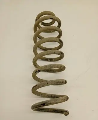 Renault Scenic II - Grand scenic II Rear coil spring