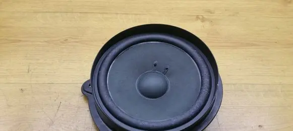 Mercedes-Benz CLS C219 Front door speaker A2198200402