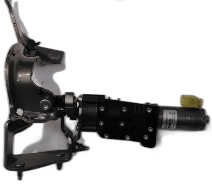 Tailgate strut