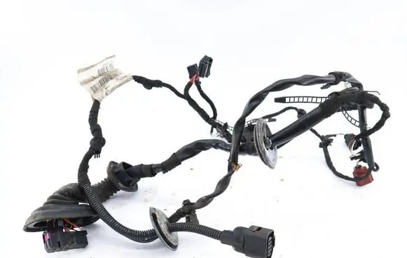 Audi A8 S8 D3 4E Front door wiring loom 4E0971030BA
