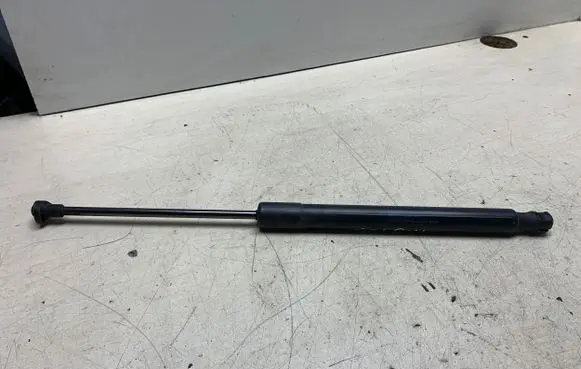 Tailgate strut