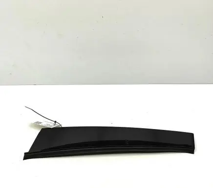 Volvo XC60 Rear door glass trim molding 32216801