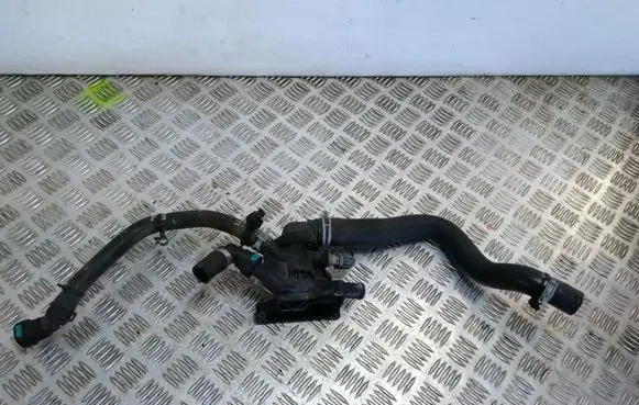 Thermostat/thermostat housing