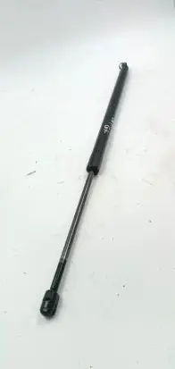 Tailgate/trunk strut/damper