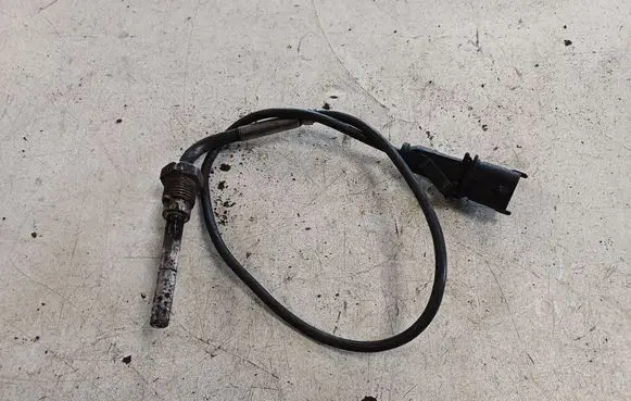 Fiat Punto (199) Exhaust gas temperature sensor 55210402