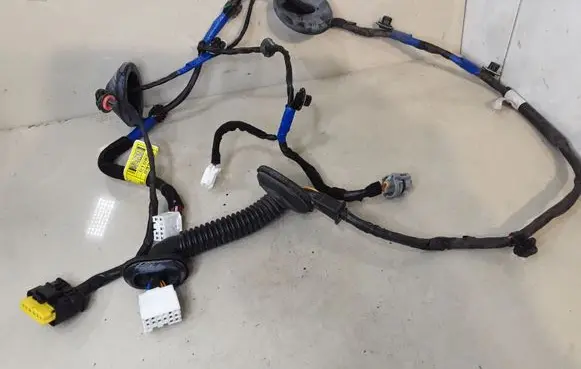 Hyundai Santa Fe Rear door wiring loom 916602B010 919803K040