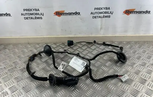 KIA Sorento Rear door wiring loom 91650C5040