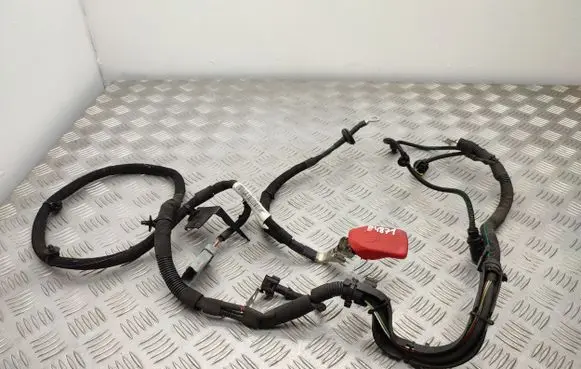 Peugeot 208 Positive cable (battery) 9824444780