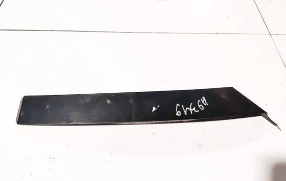 Rear/tail light trim molding
