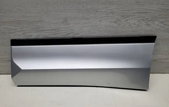 Volkswagen Tiguan Rear door trim (molding) 5NA854949