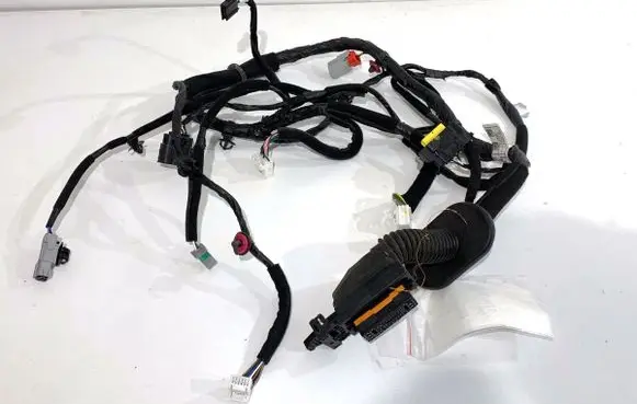 Front door wiring loom